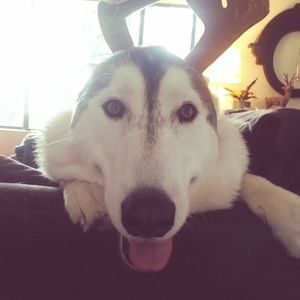 Meet your Posher, Keegan